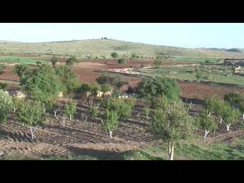 Benyamin Danho - Tochu Kulan Leimina