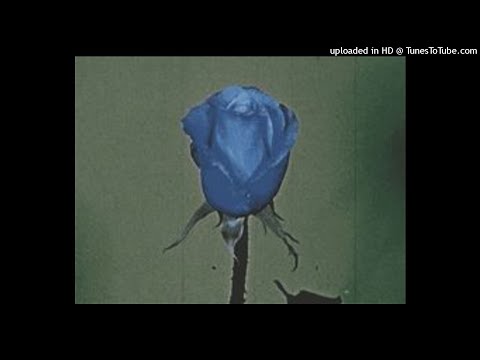 [free] drain x hyperpop x yung lean type beat - "hi" [Prod. methboiswag x roxa]