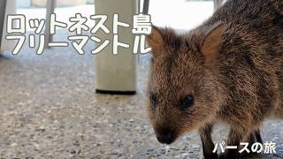 ロットネスト島とフリーマントル