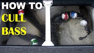 How To Cull Bass Quickly &amp; Safely | Bass Fishing
