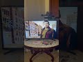 Law And Order Svu Intro