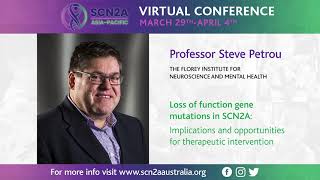 Loss of function gene mutations in SCN2A: Implications and opportunities for therapeutic interve...