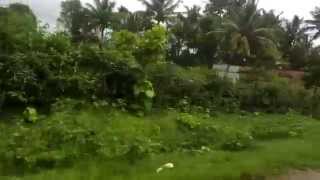 preview picture of video 'Awesome Weather in Coorg Madikeri'