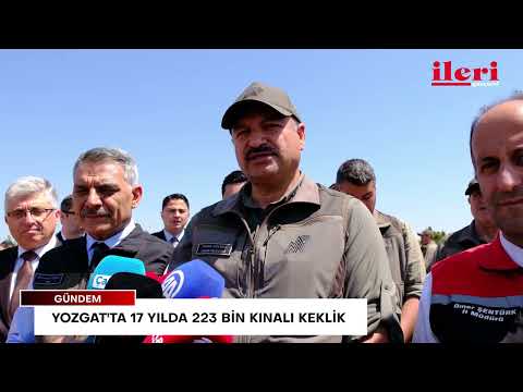 Yozgat'ta 17 yılda 223 bin kınalı keklik | İleri Gazetesi