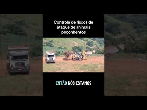 Santana do Deserto - Rio Doce - MG