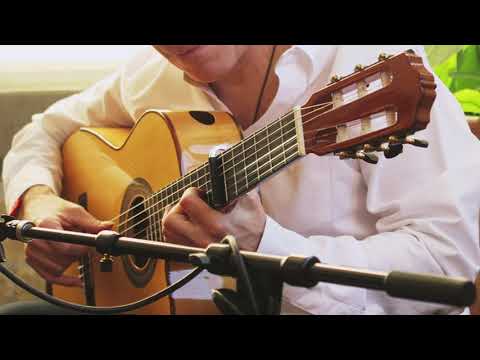 Promotional video thumbnail 4 for Martin Metzger ~ Solo, Duo and Ensemble