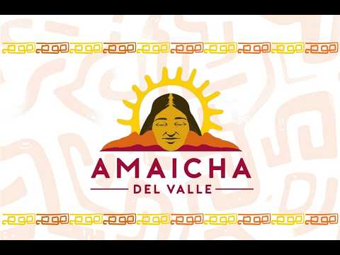 Metacompetencia: Amaicha del Valle
