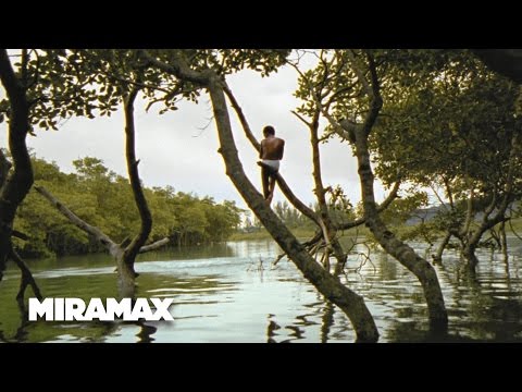 Thumbnail of the video: Looking for Paradise