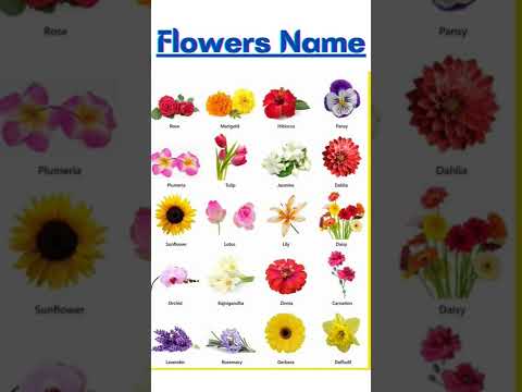 Different types of Flowers with names #youtube #shorts #flowers #name