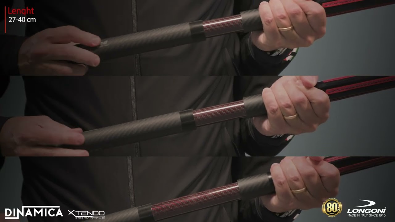 Longoni Dynamica Extension