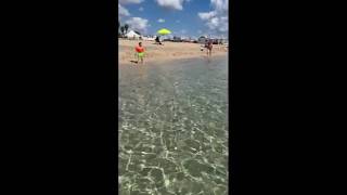 Un piccolo pesce spada a pochi passi dalla battigia nelle acque di Campomarino