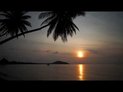 Jamaica At Night - Soothing Sounds of Tree Frogs & The Gentle Ocean Surf