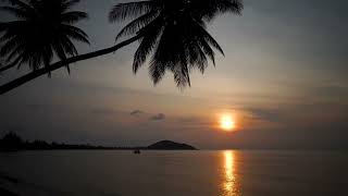 Jamaica At Night - Soothing Sounds of Tree Frogs &amp; The Gentle Ocean Surf