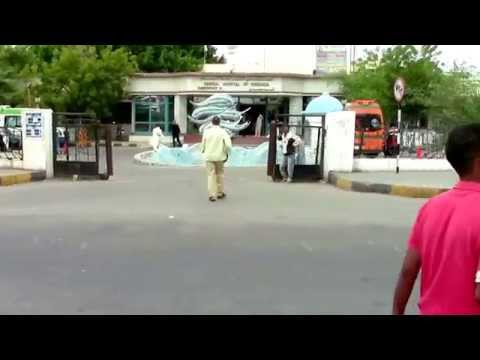 Прогулка по улицам Хургады недалеко от отеля.