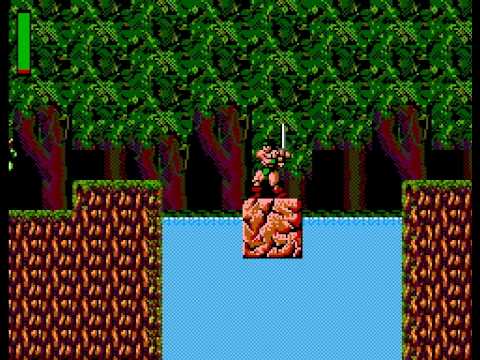 rastan sega master system