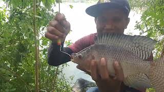 Download lagu WOW, A DREAM FISHING SPOT THAT MAKES PEOPLE CRAZY#fishing mp3
