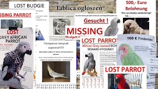 Announcements of missing and found parrots
