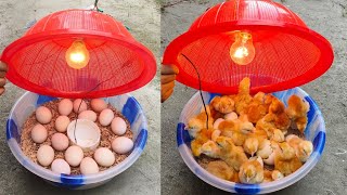 Egg incubator // how to make incubator at home