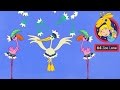 64 Zoo Lane The Story Of The Flamingo Festival NEW EPISODE Cartoon For Kids