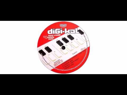 Various - Digi-Kal 4 The Hard Way Vol.2 - LP - Digi-kal