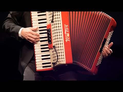 FISARMONICA | "DOLCE SILENZIO" Roberto Scaglioni @Musicainballo