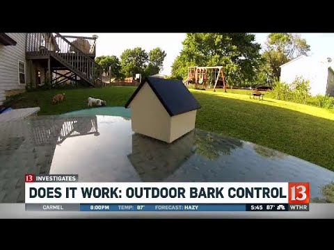 YouTube video about: Does ultrasonic sound hurt dogs?