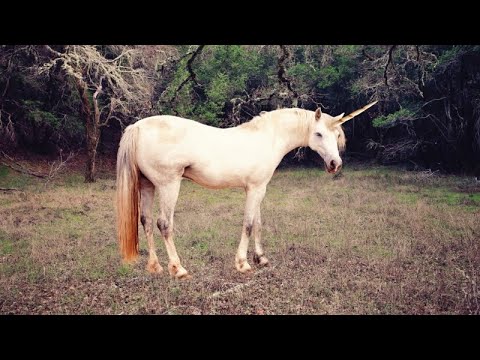 Videohilsen til konfirmanten 🌝