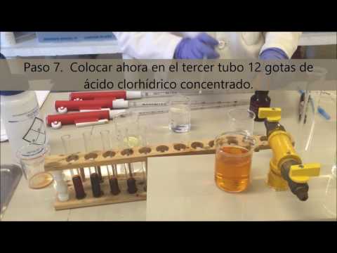 Práctica 6. Equilibrio químico