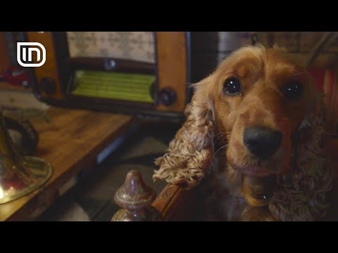 Floki në Life is Better with Friends 04/07/2018 | IN TV Albania