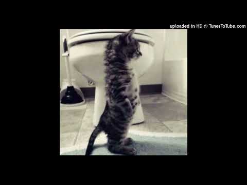 *free* hyperpop + digicore type beat "xd!" + centrlx