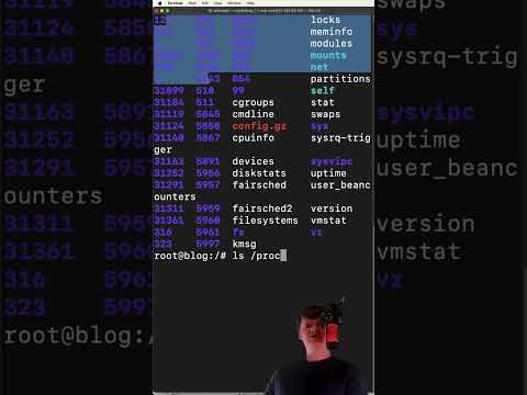 Linux Proc Directory Overview Programming Software Cybersecurity Computerscience Coding