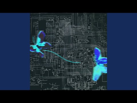 Mindvrebis Freestyle