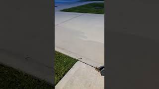 In the calm by Point Of Grace