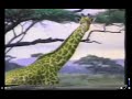 Geoffery S Animal Alphabet Home Media Trailer
