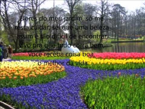Flores No Meu Jardim - Claudia Leitte
