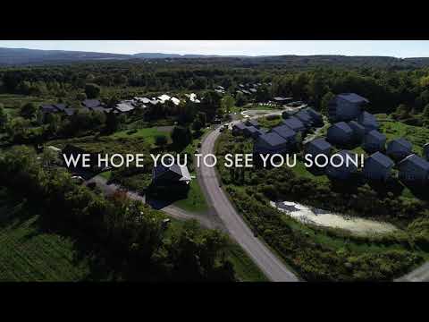 Welcome to Thrive Ithaca!