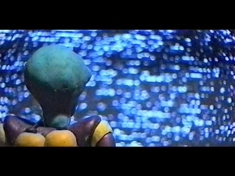INTRUDER (1998)