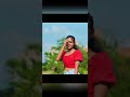 Mal Nagun Nagun माल नागुन नागुन Shorts Gavthi Aadivasi Palghar Trendingsho