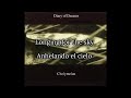 Diary Of Dreams - Bird without Wings Sub español & lyrics