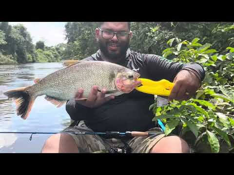“Primeira Descida de Caiaque no Rio Jenipapo | Aventura Inédita em Arapoema - TO”