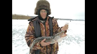 Зимняя рыбалка недалеко от уфы