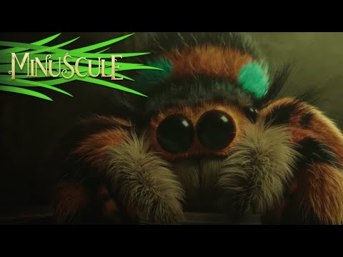 Discover an extract of Minuscule - Mandibles From Far Away  the cave of the Hairy Spider_R