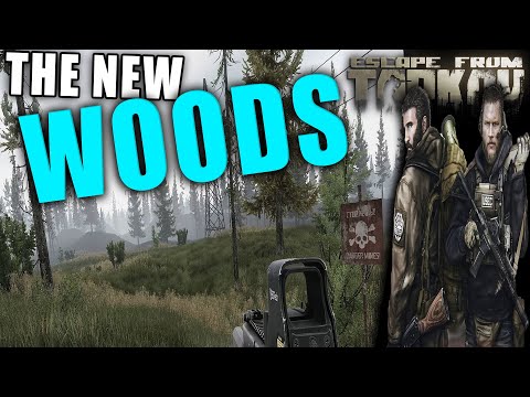 Learn The NEW WOODS EXPANSION - 5min // Escape from Tarkov Woods Map