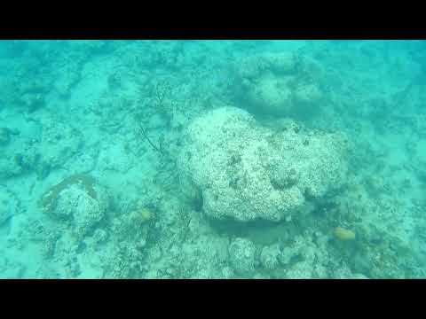 Cuba2024 Playa Pesquero 2