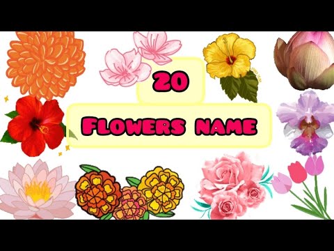 Flowers name | 20 flowers name in english #flower