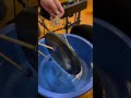 Water Gong - with mallets