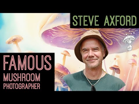 Planet Fungi - Capturing Mushrooms with World-Famous Photographer || Steve Axford