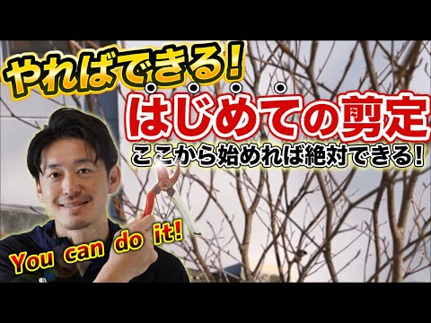  11月に剪定できる木は何ですか?なぜ、どのようにして？実践的なヒントは次のとおりです  庭園