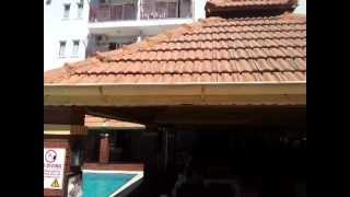 Cats garden hotel side Turkey swimming pool