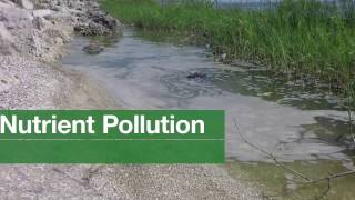You Can Prevent Nutrient Pollution